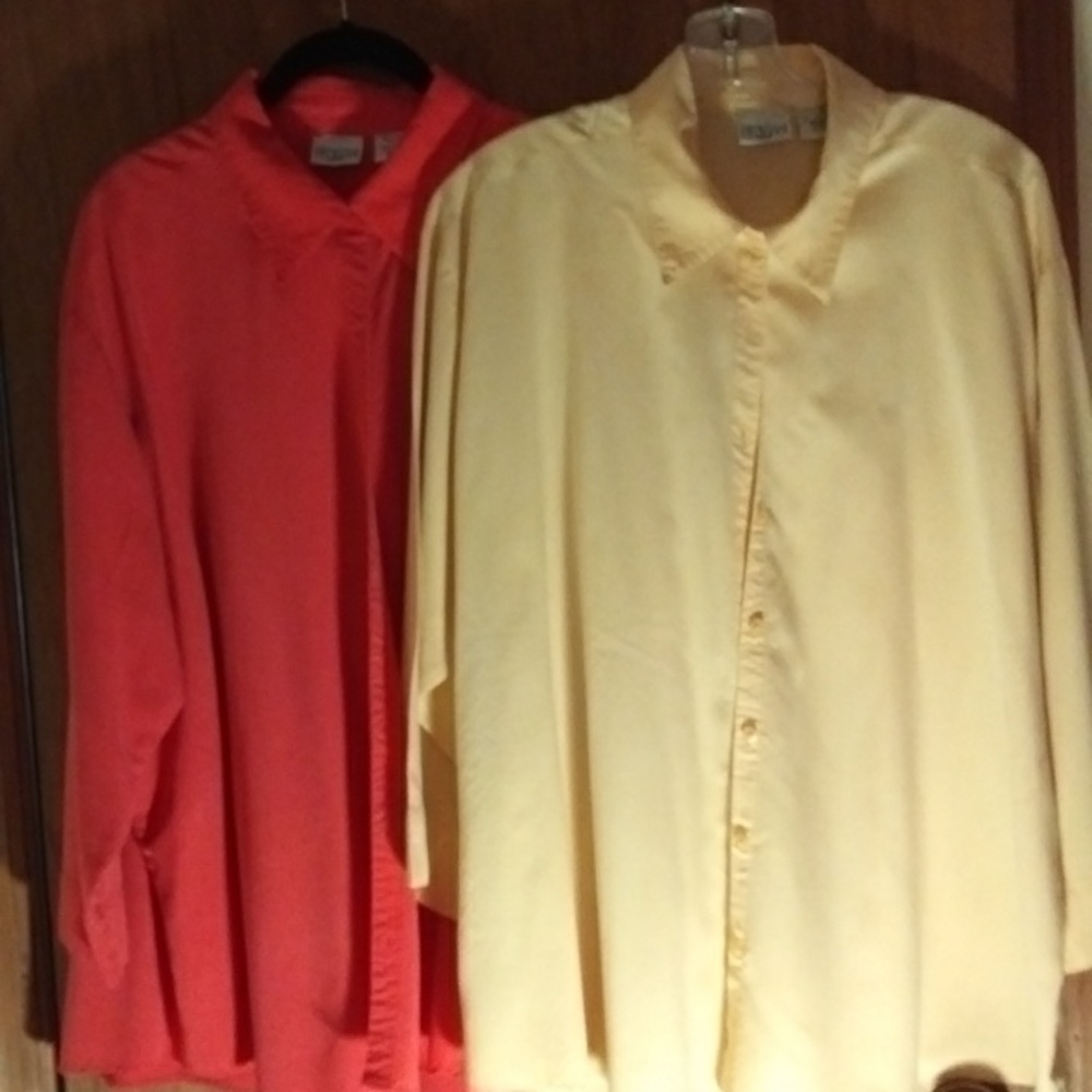 COMBO PACK----2 20W CAROLINA COLOURS BUTTON DOWNS